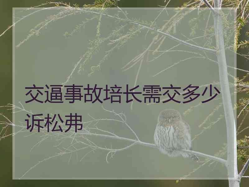 交逼事故培长需交多少诉松弗