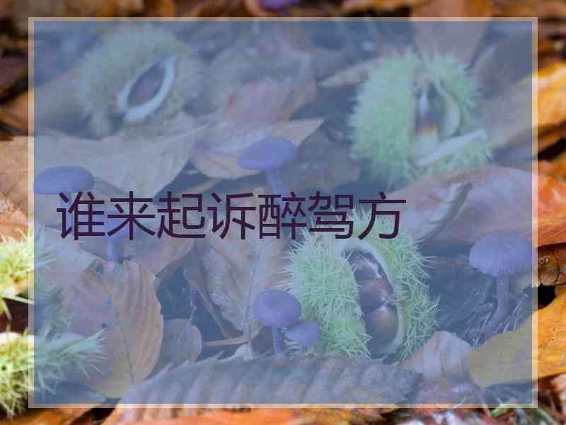 谁来起诉醉驾方