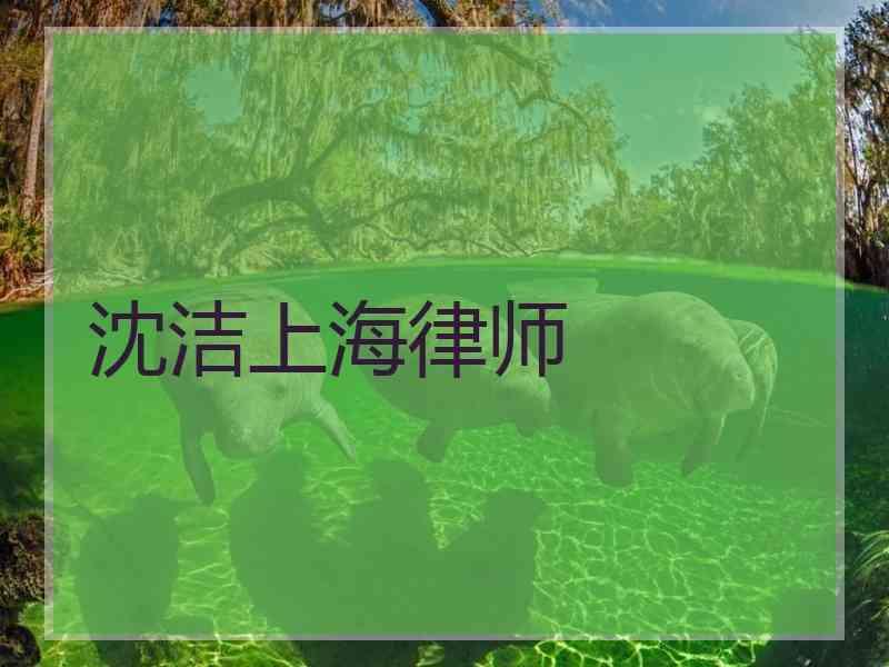 沈洁上海律师