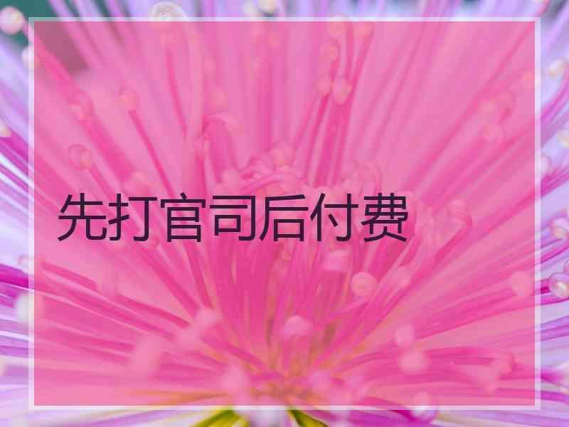 先打官司后付费