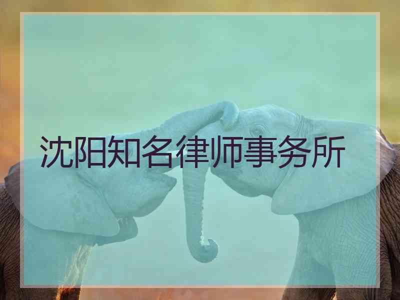 沈阳知名律师事务所