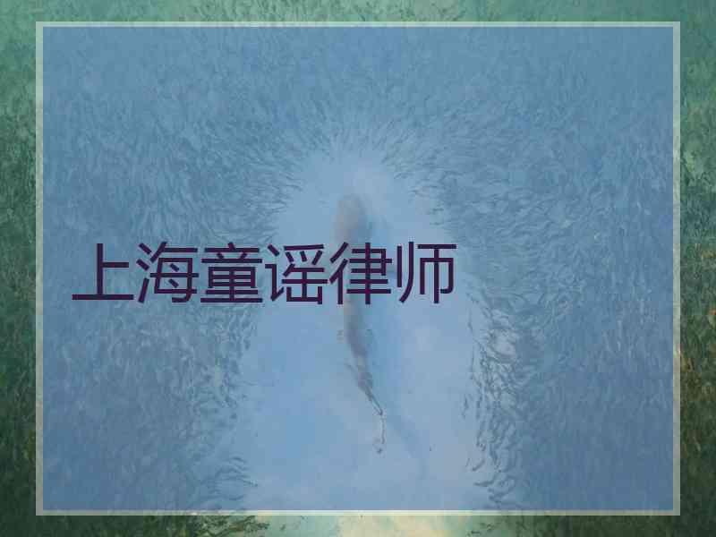 上海童谣律师 上海童谣律师