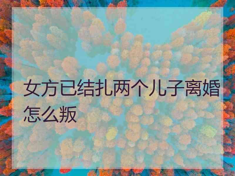 女方已结扎两个儿子离婚怎么叛