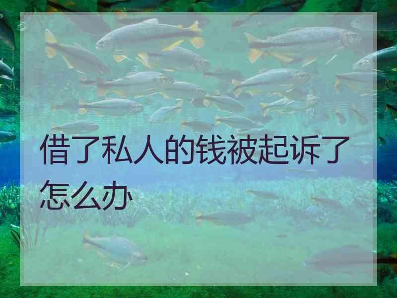 借了私人的钱被起诉了怎么办