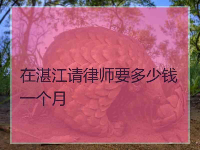 在湛江请律师要多少钱一个月