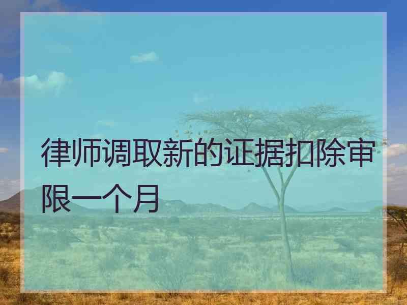 律师调取新的证据扣除审限一个月