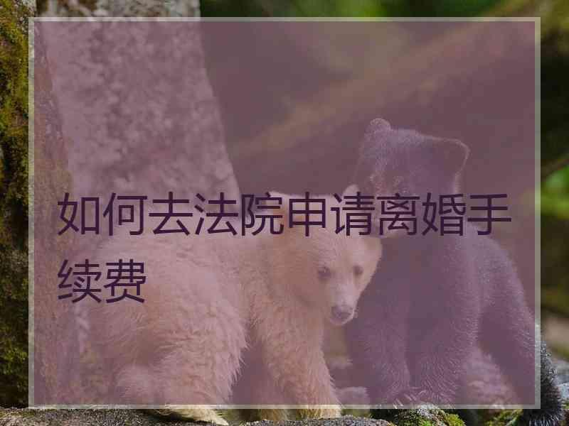 如何去法院申请离婚手续费