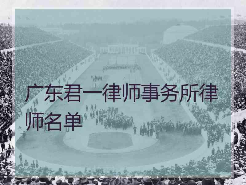 广东君一律师事务所律师名单