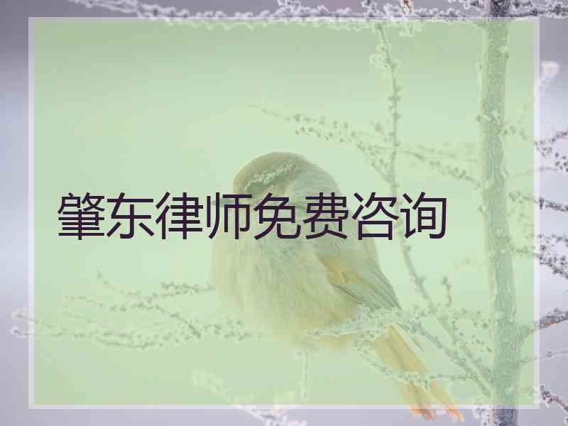肇东律师免费咨询