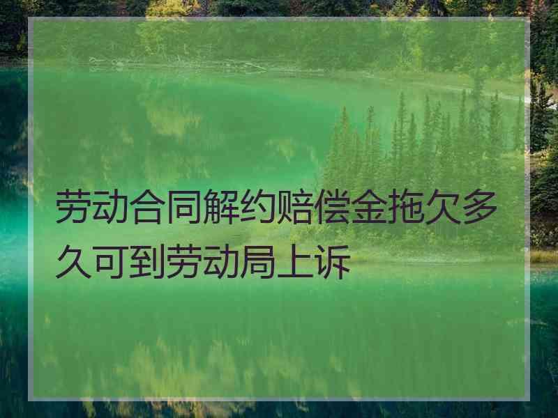 劳动合同解约赔偿金拖欠多久可到劳动局上诉