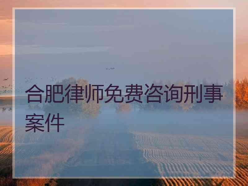 合肥律师免费咨询刑事案件