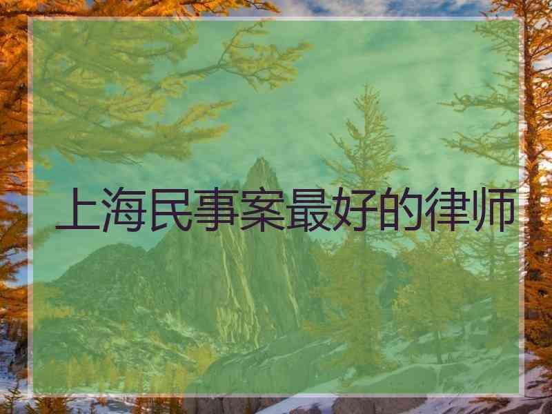 上海民事案最好的律师