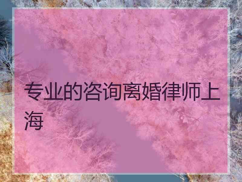 专业的咨询离婚律师上海