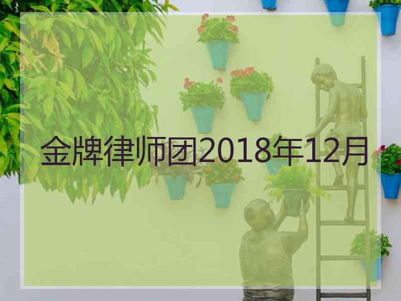 金牌律师团2018年12月