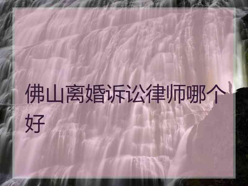 佛山离婚诉讼律师哪个好