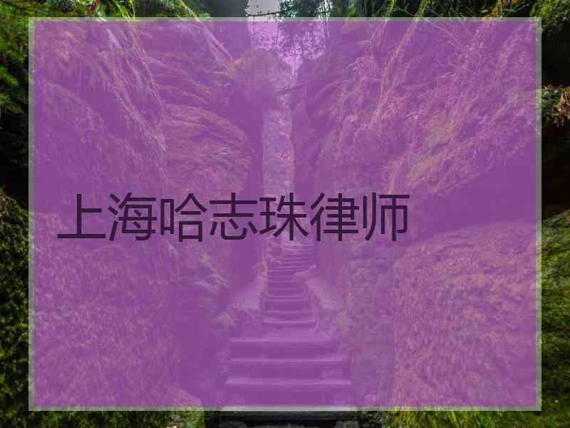 上海哈志珠律师