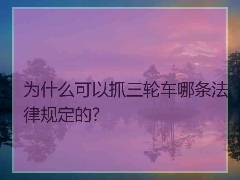 为什么可以抓三轮车哪条法律规定的?