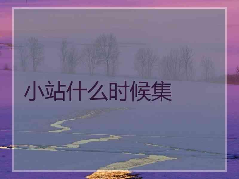 小站什么时候集