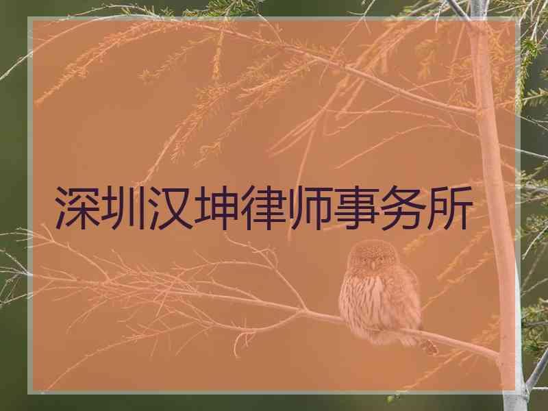 深圳汉坤律师事务所