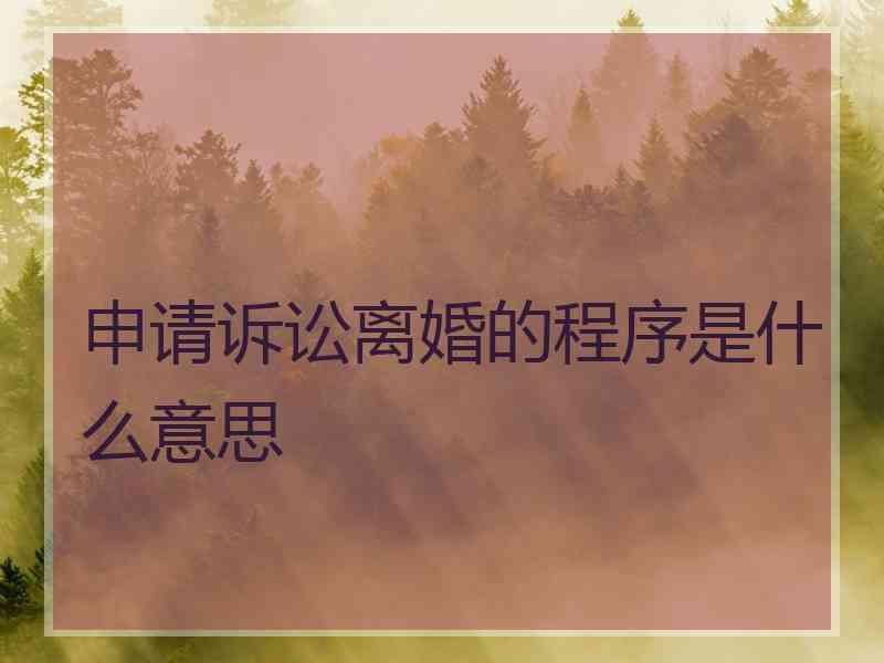 申请诉讼离婚的程序是什么意思