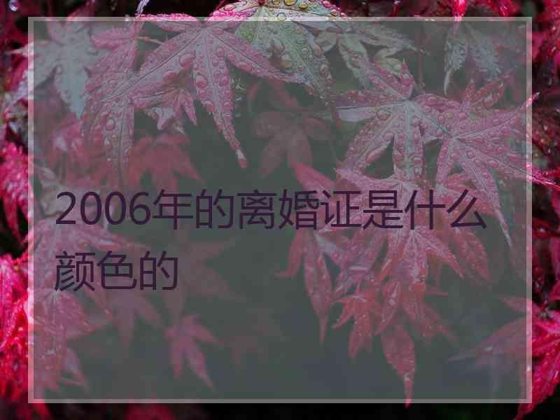 2006年的离婚证是什么颜色的