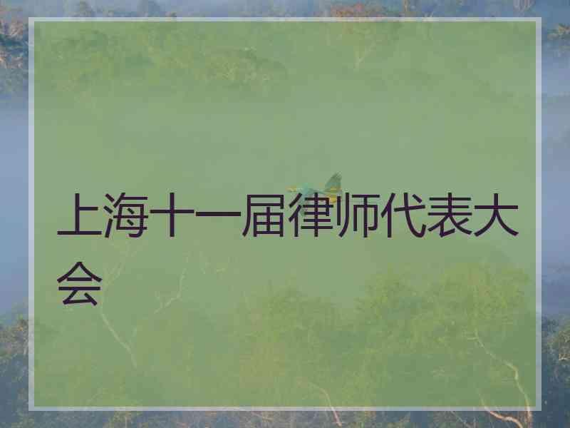 上海十一届律师代表大会