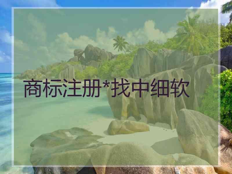 商标注册*找中细软