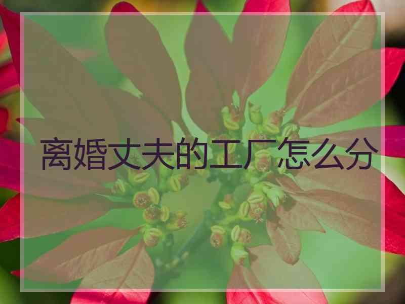 离婚丈夫的工厂怎么分