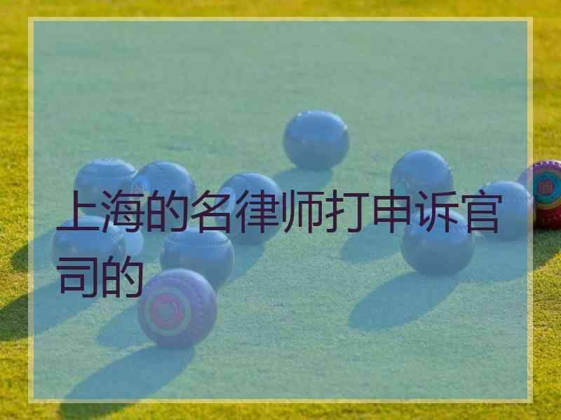 上海的名律师打申诉官司的