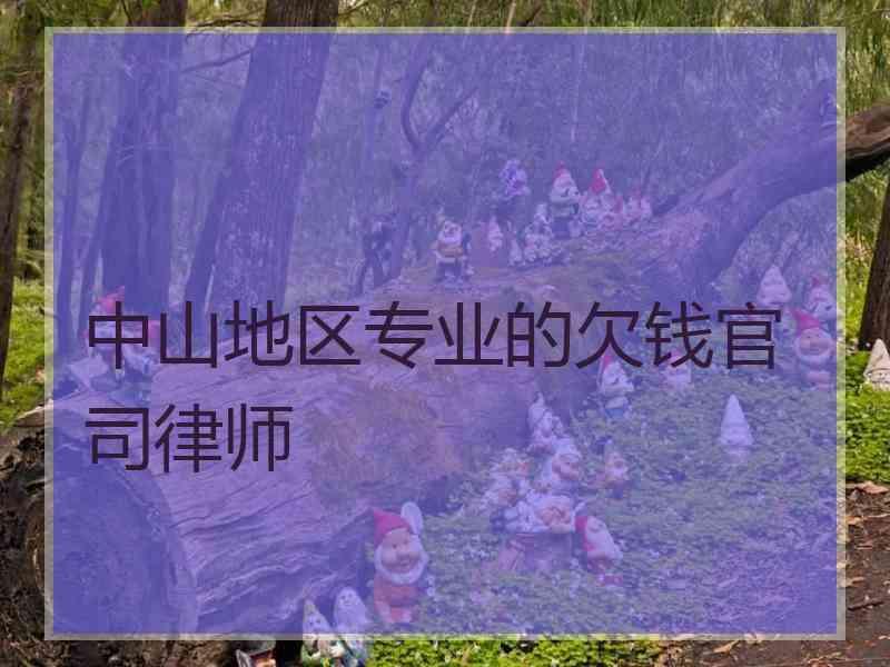 中山地区专业的欠钱官司律师