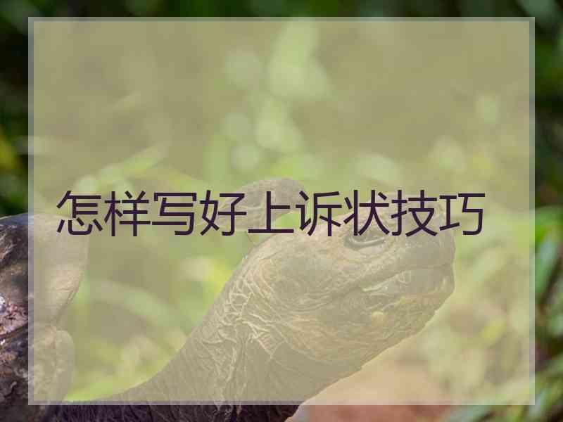 怎样写好上诉状技巧