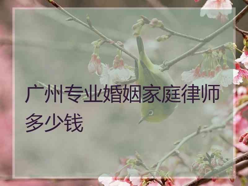 广州专业婚姻家庭律师多少钱