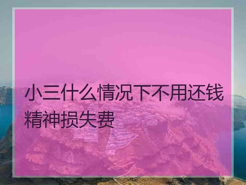 小三什么情况下不用还钱精神损失费