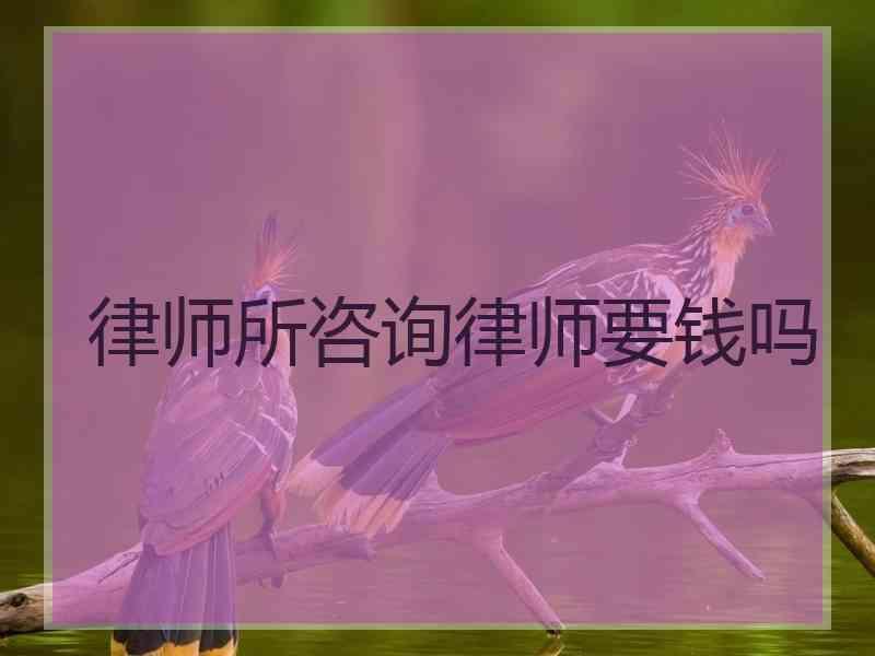 律师所咨询律师要钱吗