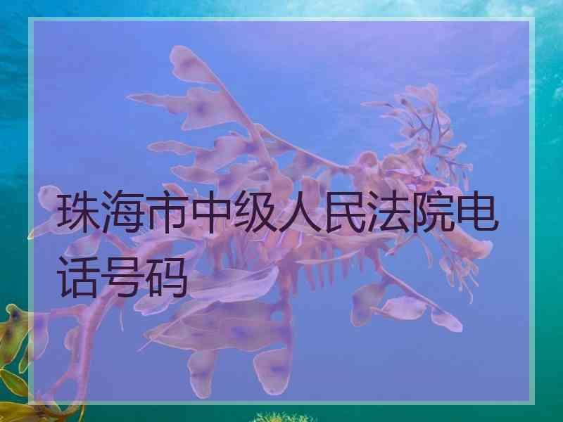 珠海市中级人民法院电话号码