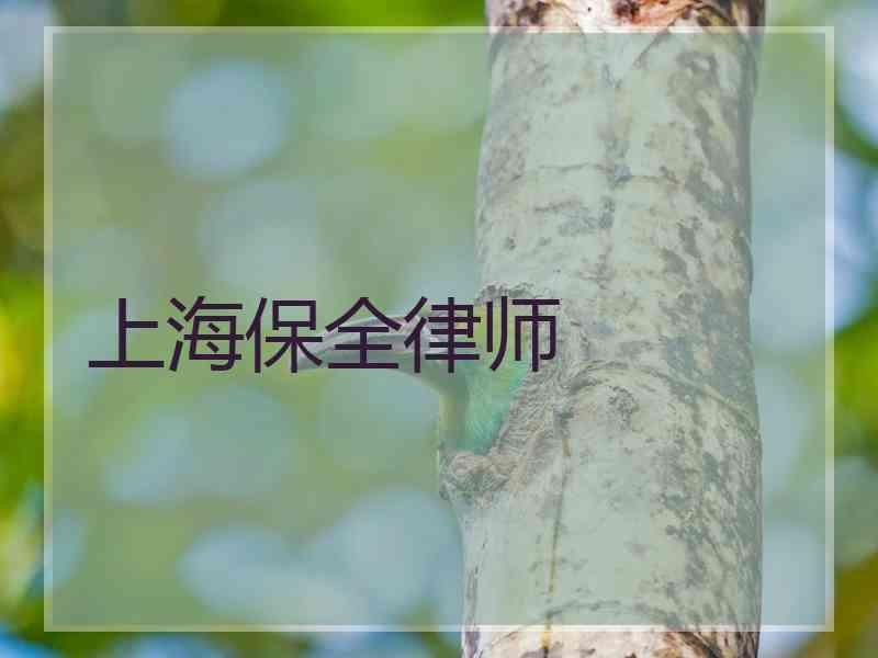 上海保全律师