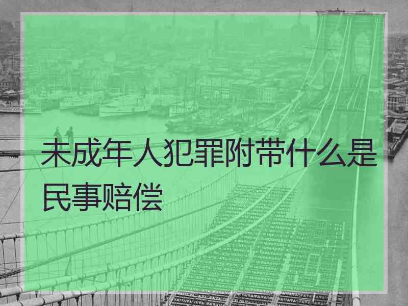 未成年人犯罪附带什么是民事赔偿