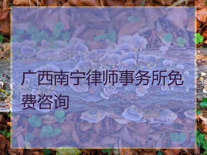 广西南宁律师事务所免费咨询