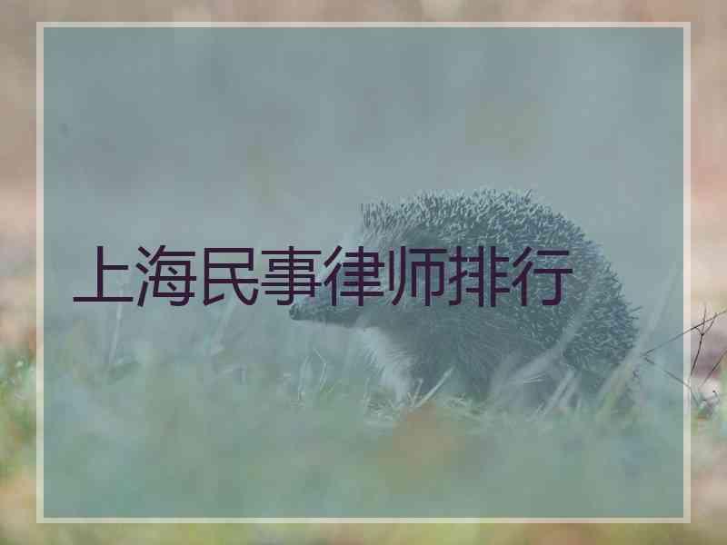 上海民事律师排行