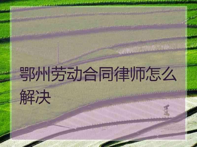 鄂州劳动合同律师怎么解决