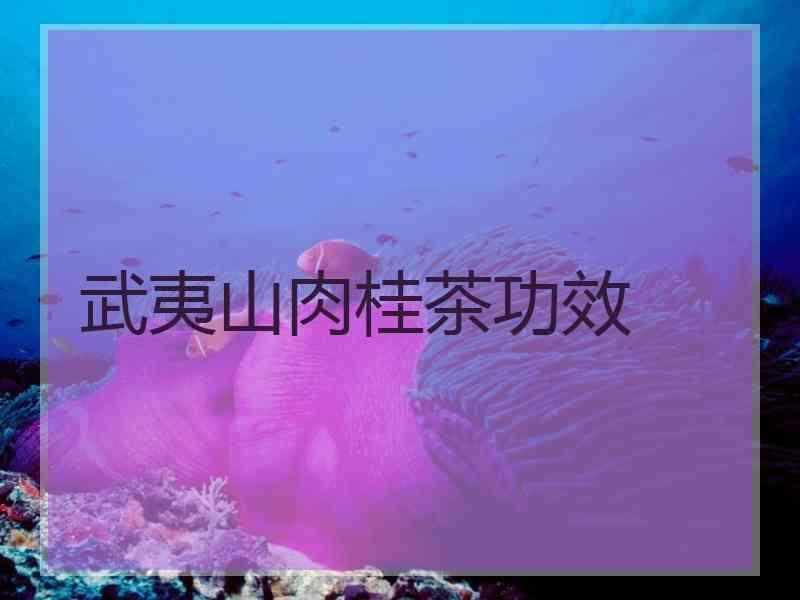 ɽ蹦Ч