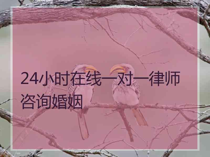 24小时在线一对一律师咨询婚姻