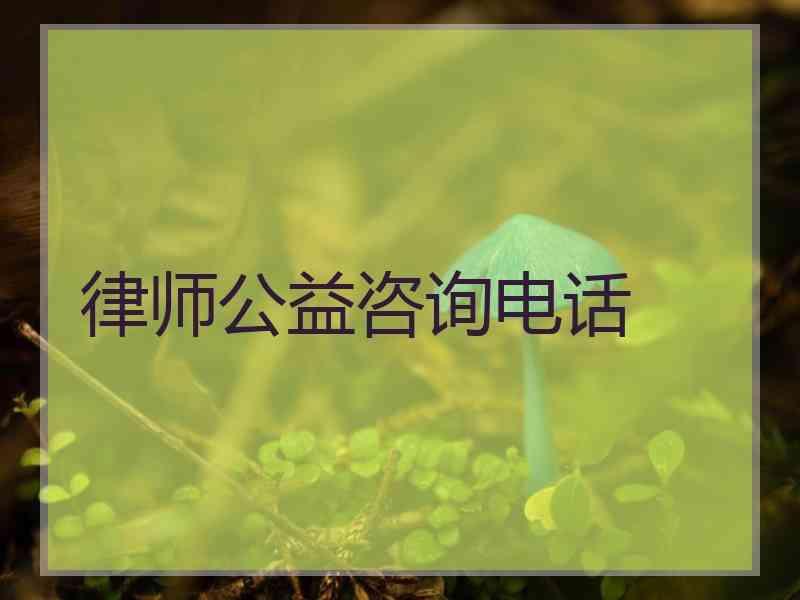 律师公益咨询电话