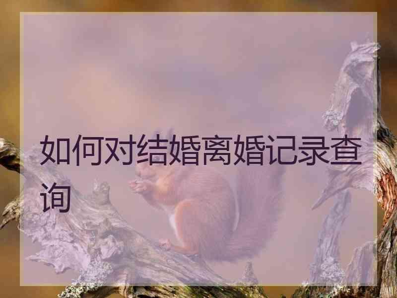 如何对结婚离婚记录查询