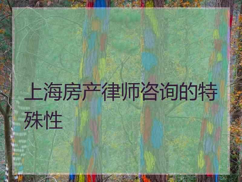 上海房产律师咨询的特殊性