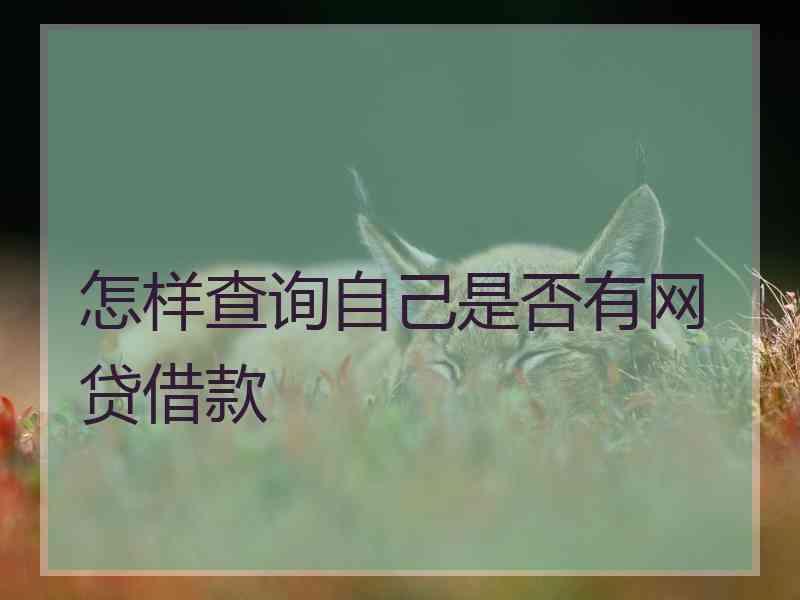 怎样查询自己是否有网贷借款