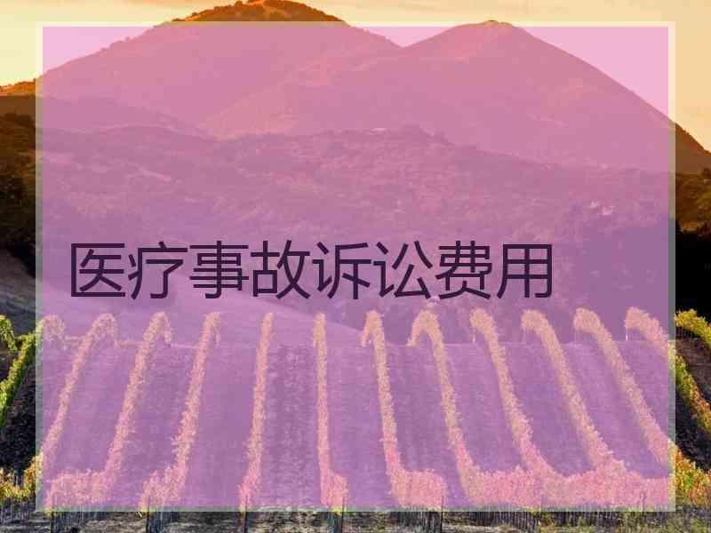 医疗事故诉讼费用