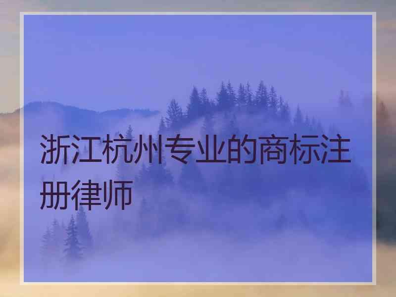 浙江杭州专业的商标注册律师 浙江杭州专业的商标注册律师