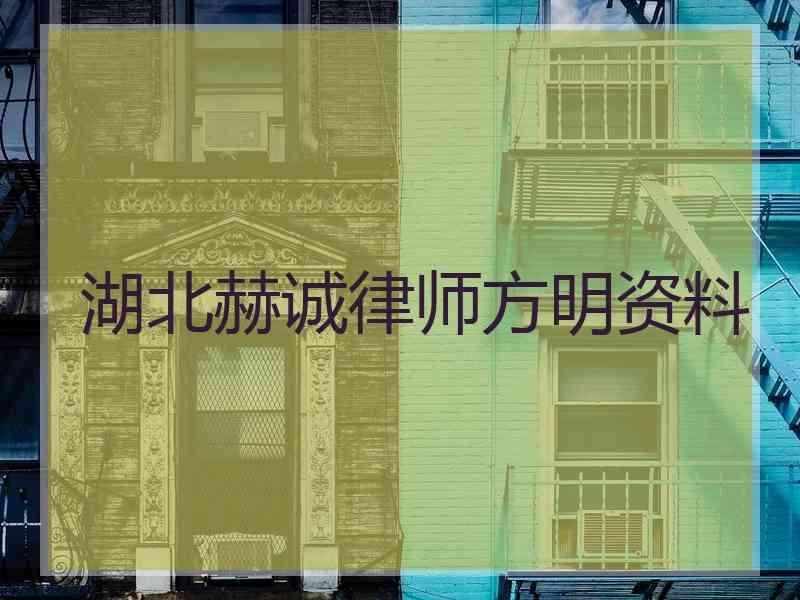 湖北赫诚律师方明资料