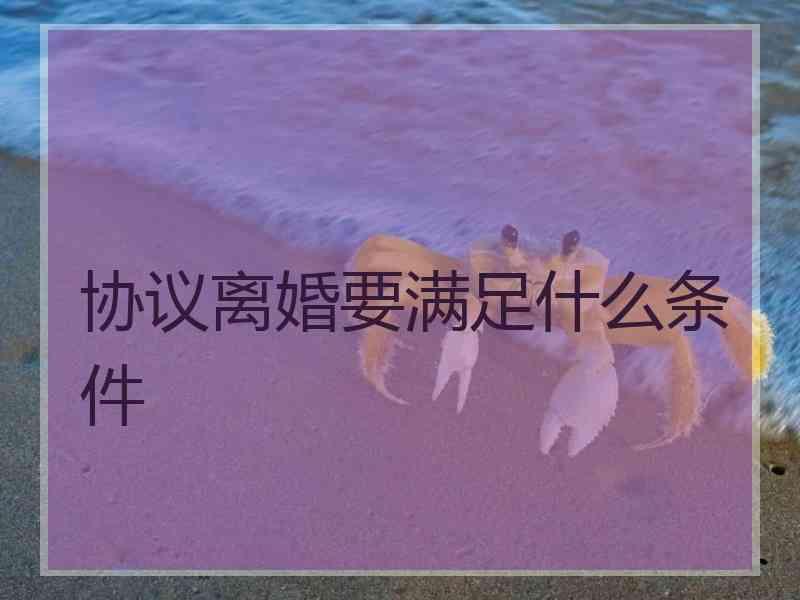 协议离婚要满足什么条件